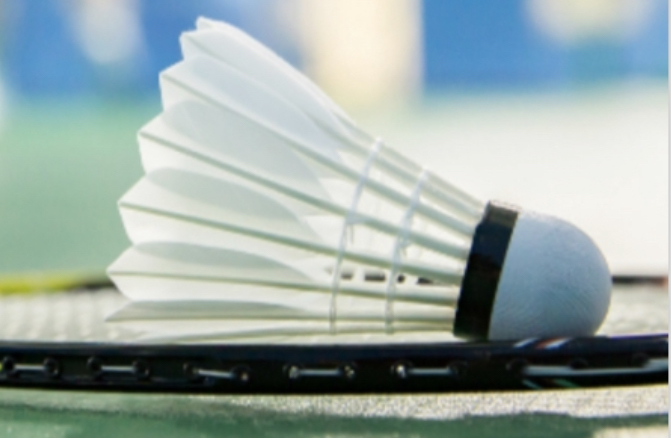 Top Flight Badminton Club – Hampshire's Most Successful Badminton Club